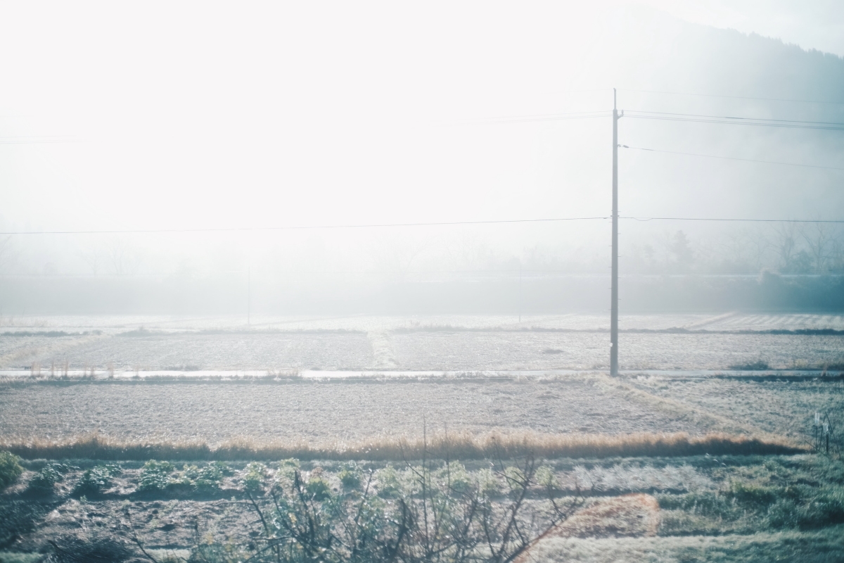 濃霧の朝