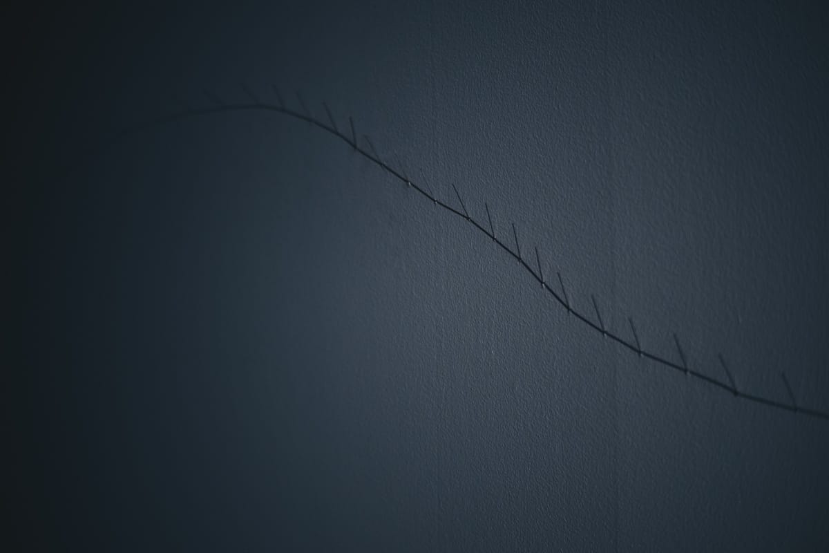 銀座 / イズマイル・バリー展