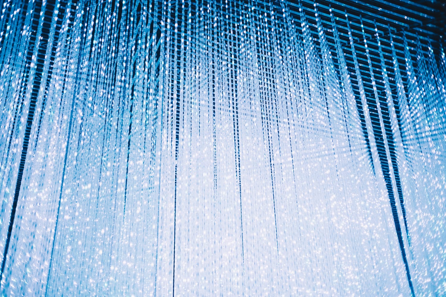 teamLab Borderless Tokyo