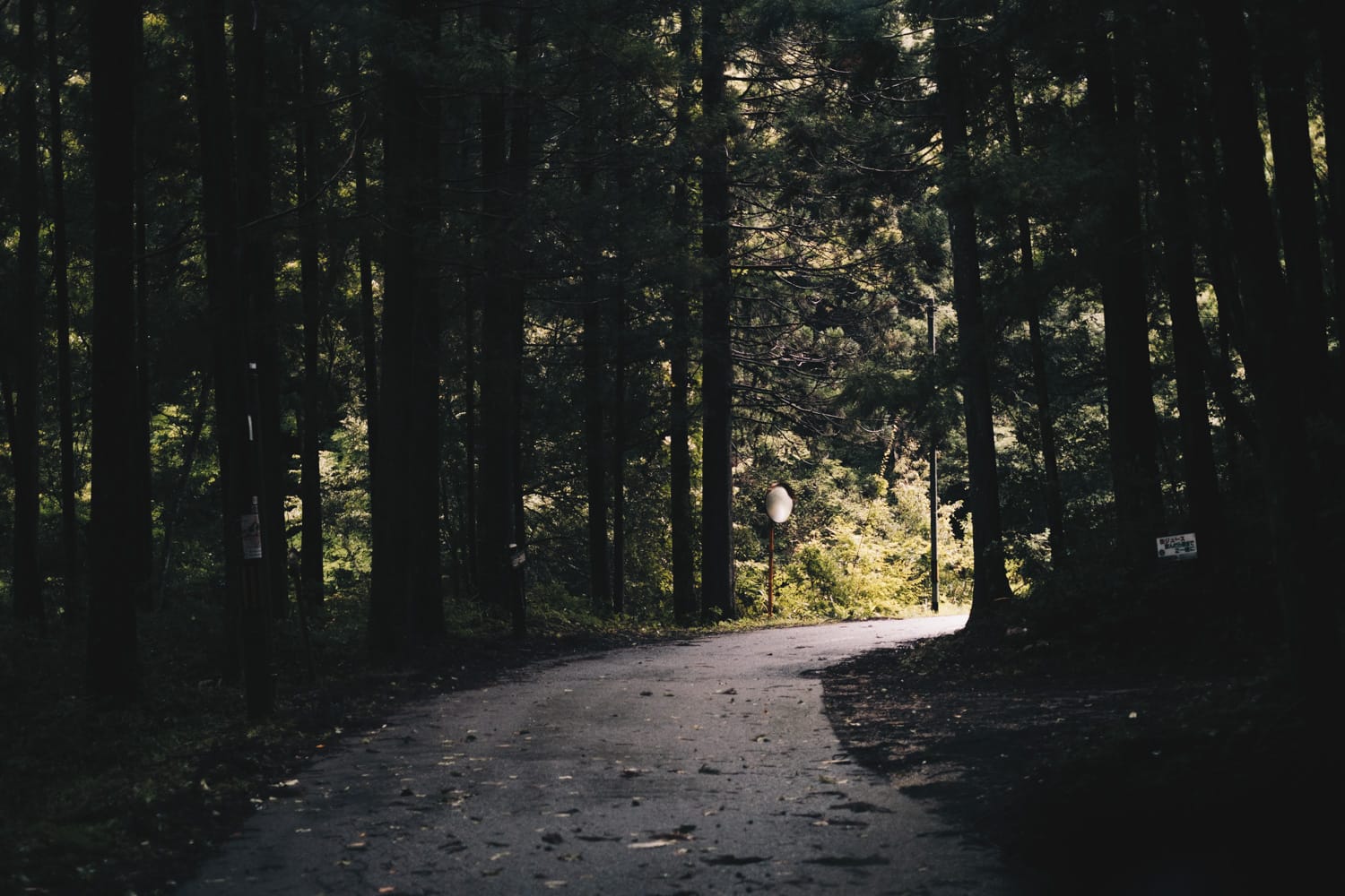 久しぶりの帰省 Vol.1